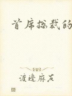 首席总裁的逃妻