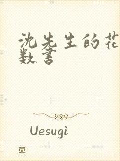 沈先生的花式调数书