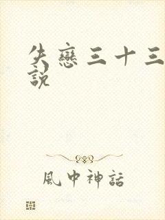 失恋三十三天小说