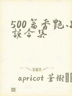 500篇香艳小说合集