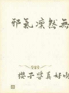 邪气凛然无弹窗