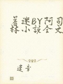 着迷BY阿司匹林小说全文免费阅读