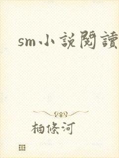 sm小说阅读