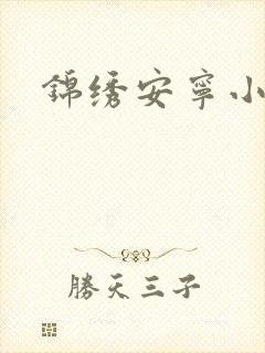 锦绣安宁小说