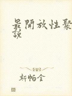 最开放性聚会小说