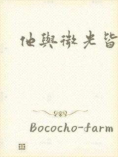 他与微光皆倾城