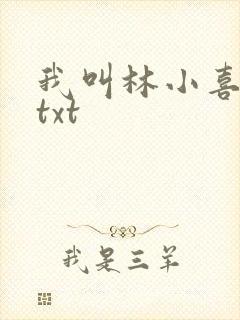 我叫林小喜小说txt