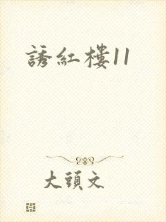 诱红楼11