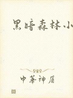 黑暗森林小说