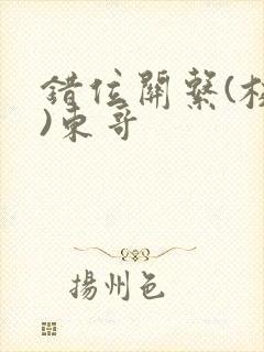 错位关系(校园)东哥