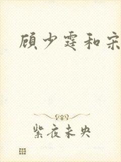 顾少霆和宋斯曼