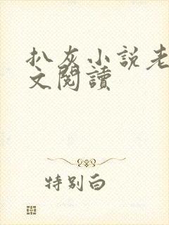 扒灰小说老马全文阅读