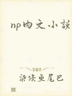np肉文小说