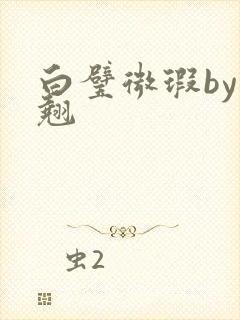 白璧微瑕by连翘