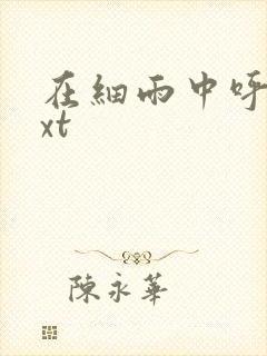 在细雨中呼喊txt