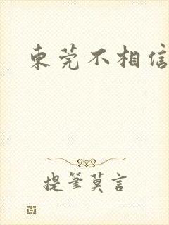 东莞不相信眼泪