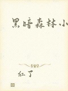 黑暗森林小说