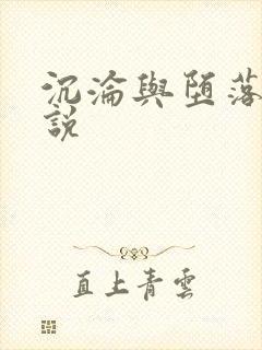 沉沦与堕落的小说