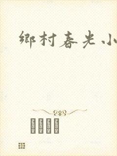 乡村春光小说