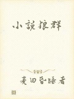 小说狼群