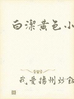 白洁黄色小说