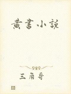 黄书小说