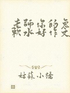 老师你的兔子好软水好作文免费阅读