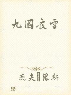 九国夜雪