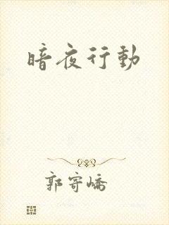暗夜行动