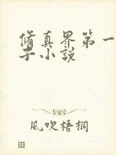 修真界第一病秧子小说