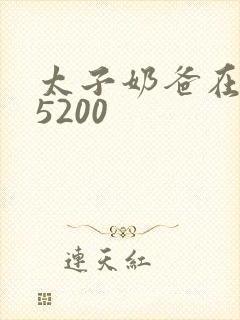 太子奶爸在花都5200