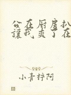 公在厨房扒开腿让我爽了在线观看