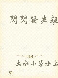 闪闪发光亲情会