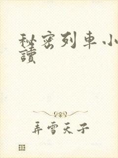 秘密列车小说阅读