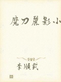 魔刀丽影小说