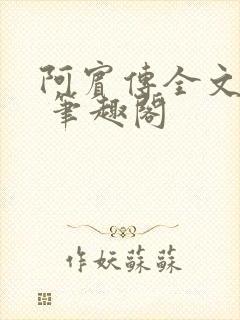 阿宾传全文阅读 笔趣阁
