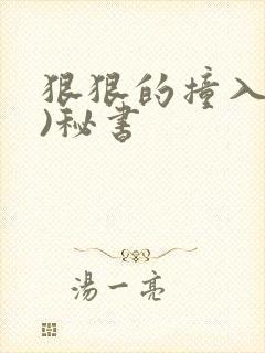 狠狠的撞入(h)秘书