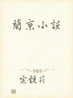 兰京小说