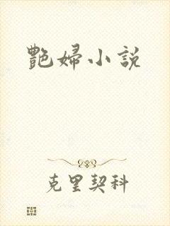艳妇小说
