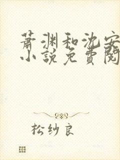 萧渊和沈安安的小说免费阅读