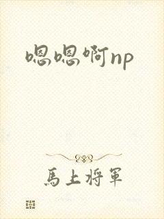 嗯嗯啊np
