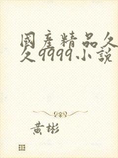 国产精品久久久久9999小说