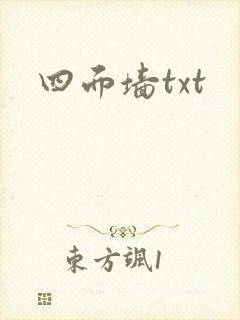四面墙txt