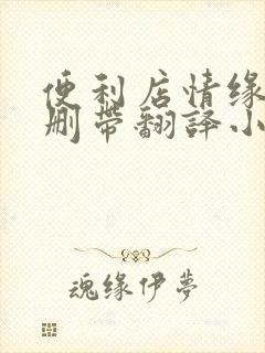 便利店情缘未增删带翻译小说