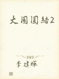 大团圆结2