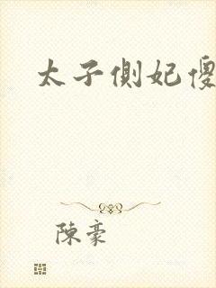 太子侧妃傻乎乎