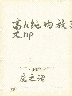 高h纯肉放荡h文np