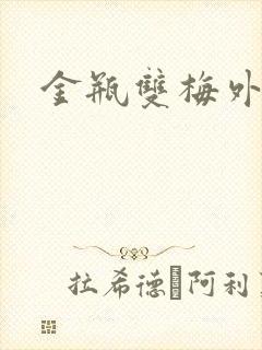 金瓶双梅外传