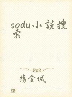 sodu小说搜索