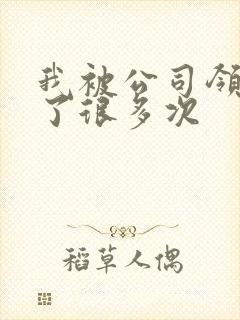 我被公司领导C了很多次